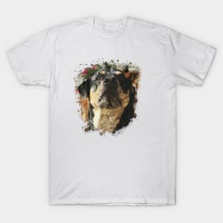 Rottweiler T-Shirt